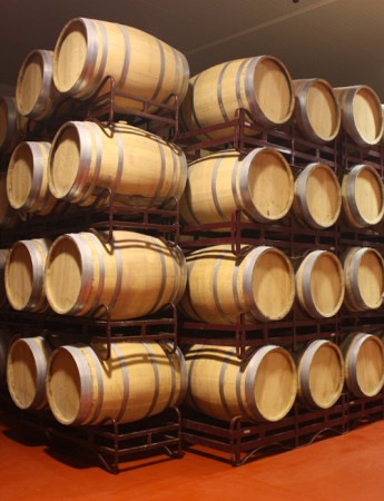 Tempranillo Manon 2017 Bodegas Mano a Mano