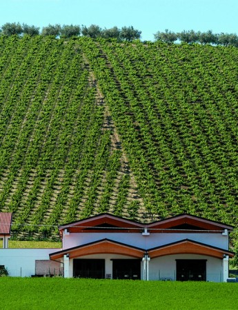 Montepulciano dAbruzzo Riserva DOC 2016 iLauri