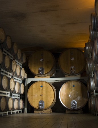 Montepulciano dAbruzzo Riserva DOC 2016 iLauri