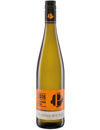 Sauvignon Blanc 2021 Pfannebecker