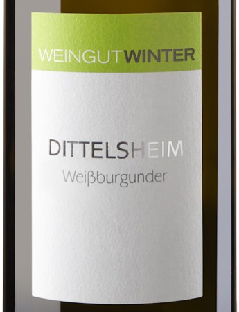 Weißburgunder Dittelsheim 2020 Winter