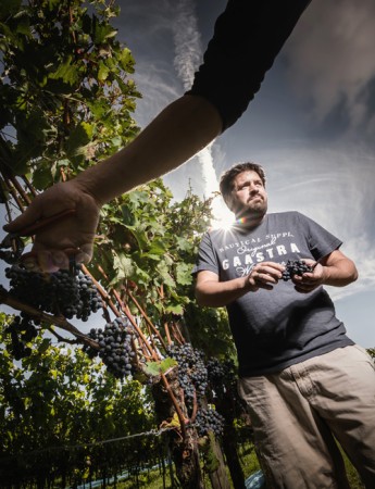 Markus Schneider Ursprung Cuvee