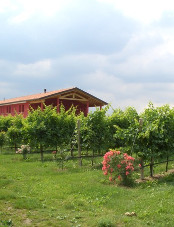 Prosecco brut DOC La Jara