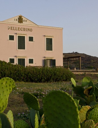 Diantha Rosso Terre Siciliane IGT 2022 Pellegrino