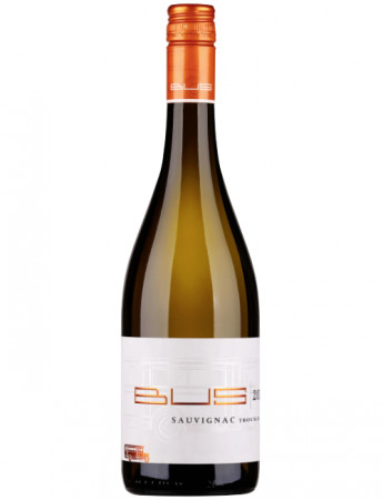 Sauvignac 2025 Weingut Bus