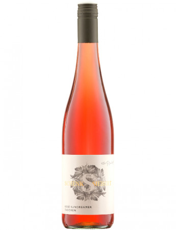 Sundreamer Rosé 2025 Schenk-Siebert