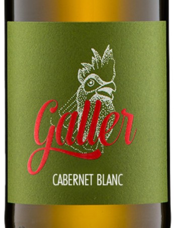 Cabernet Blanc Pfalz
