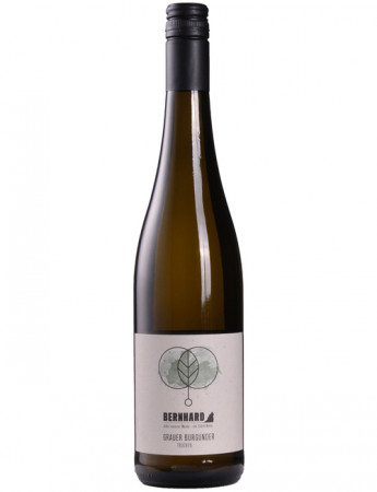 Grauburgunder 2025 Weingut Bernhard