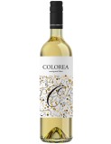 Sauvignon Blanc 2023 Colorea