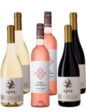 Portugal Weinpaket -Lotse-