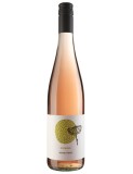Rosé Rossi 2024 Hofmann