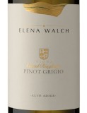 Pinot Grigio Castel Ringberg Elena Walch