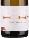Sauvignon blanc Pfalz