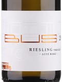 Riesling Alte Reben
