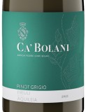 Ca Bolani Pinot Grigio Wein