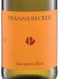 Sauvignon Blanc 2021 Pfannebecker