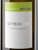 Weißburgunder Dittelsheim 2020 Winter