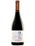 Syrah Terroir Hunter 2012 Undurraga