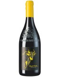 Filet Noir 2016 Weingut Lergenmüller