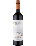 Encosta do Forte Special Selection 2022 Rare