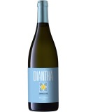 Diantha Bianco IGT 2024 Pellegrino