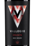 Vallegre Tinto