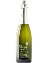 Riesling brut 2019 WILD AT HEART Schembs