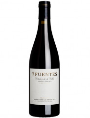 7 Fuentes 2021 Suertes del Marques