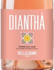 Diantha Rose 2024 Pellegrino