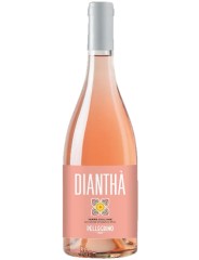 Diantha Rose 2024 Pellegrino