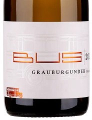Grauburgunder 2024 Weingut Bus