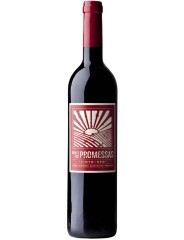 Monte das Promessas 2021 Casa Santos Lima