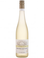 Piquepoul Sauvignon 2024 La Baume La Grande Olivette