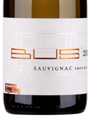 Sauvignac 2025 Weingut Bus