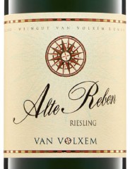 Alte Reben Riesling 2023 Van Volxem