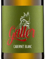 Cabernet Blanc Pfalz 2021 Weingut Galler