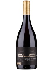 Spätburgunder Achtmorgen 2019 Weingut Bus